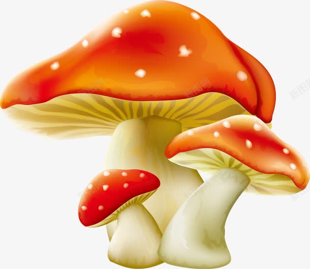 蘑菇png免抠素材_新图网 https://ixintu.com 修饰 彩色