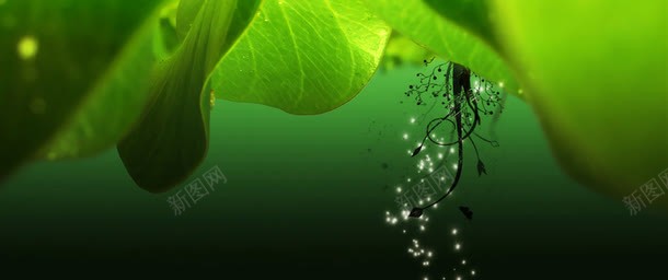 摄影绿色的草本植物合成png免抠素材_新图网 https://ixintu.com 合成 摄影 绿色 草本植物
