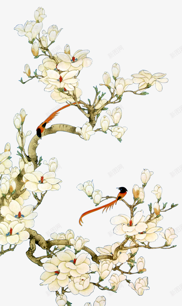 国画桃花png免抠素材_新图网 https://ixintu.com 中国风 国画 桃花 水彩画