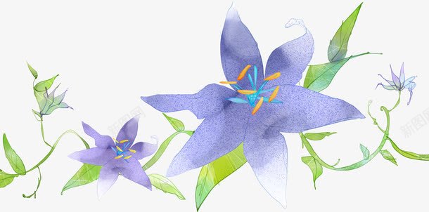 紫色梦幻小花插图png免抠素材_新图网 https://ixintu.com 插图 梦幻 紫色 花插图