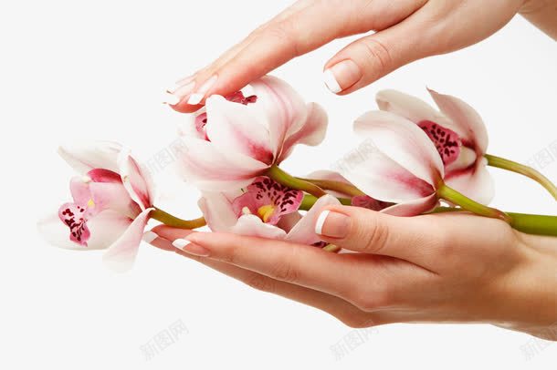 手拿新鲜花束png免抠素材_新图网 https://ixintu.com 双手 护手 白色 花束