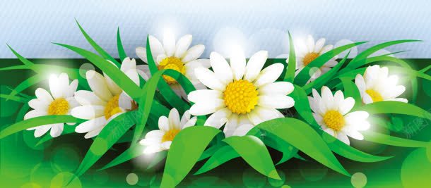 太阳花清新背景bannerjpg设计背景_新图网 https://ixintu.com banner 太阳花 清新 背景