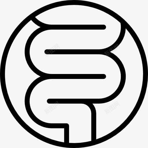 肠图标png_新图网 https://ixintu.com 人体的身体部位 医学 器官 大肠 小肠