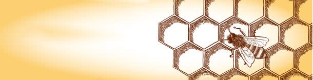 简笔画蜂巢背景bannerjpg设计背景_新图网 https://ixintu.com banner 背景 蜂巢
