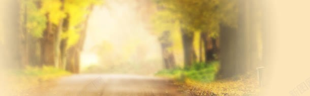 树叶凋落背景bannerjpg设计背景_新图网 https://ixintu.com banner 凋落 树叶 背景