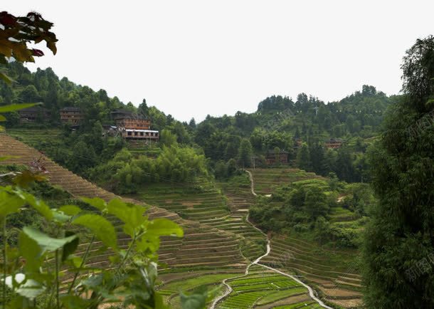 广西龙脊梯田风景png免抠素材_新图网 https://ixintu.com 广西 旅游 景点 美景 风景