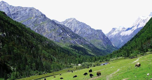 四姑娘山旅游png免抠素材_新图网 https://ixintu.com 四姑娘山旅游 四川四姑娘山 旅游景区 著名景点