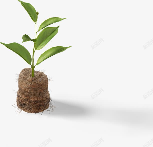 带根土绿色植物png免抠素材_新图网 https://ixintu.com 植物 绿色