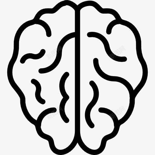脑图标png_新图网 https://ixintu.com 人 人类的大脑 医学 大脑 身体器官 身体的一部分