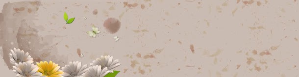 花草树叶蝴蝶唯美简约背景bannerjpg设计背景_新图网 https://ixintu.com banner 唯美 树叶 简约 背景 花草 蝴蝶