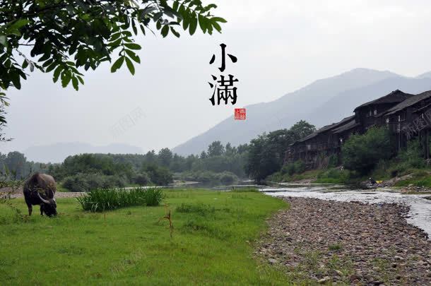 小满气节立春为先jpg设计背景_新图网 https://ixintu.com 为先 小满 气节 立春