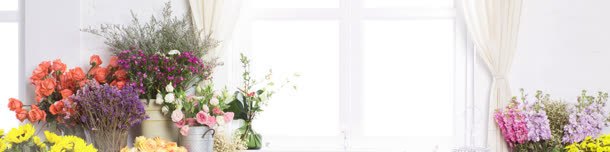 彩色插花白色窗帘jpg设计背景_新图网 https://ixintu.com 彩色 插花 白色 窗帘