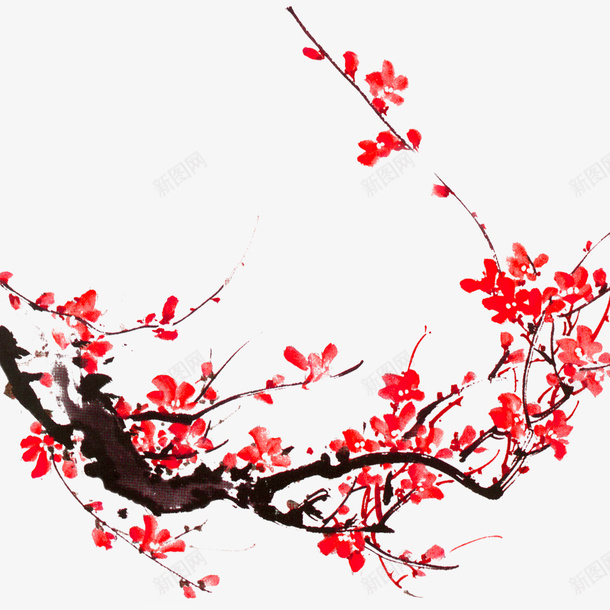 梅花花卉png免抠素材_新图网 https://ixintu.com 店铺实用 梅花花卉 装饰花卉