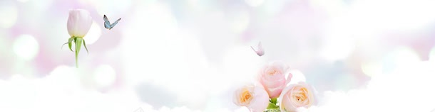 玫瑰花banner背景图jpg设计背景_新图网 https://ixintu.com 唯美 梦幻 淘宝 玫瑰花 蝴蝶