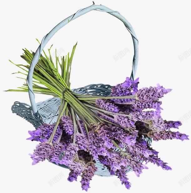 花篮里的紫色花朵png免抠素材_新图网 https://ixintu.com 田园风 紫色花朵图案 花朵素材 花篮图案 花纹花卉