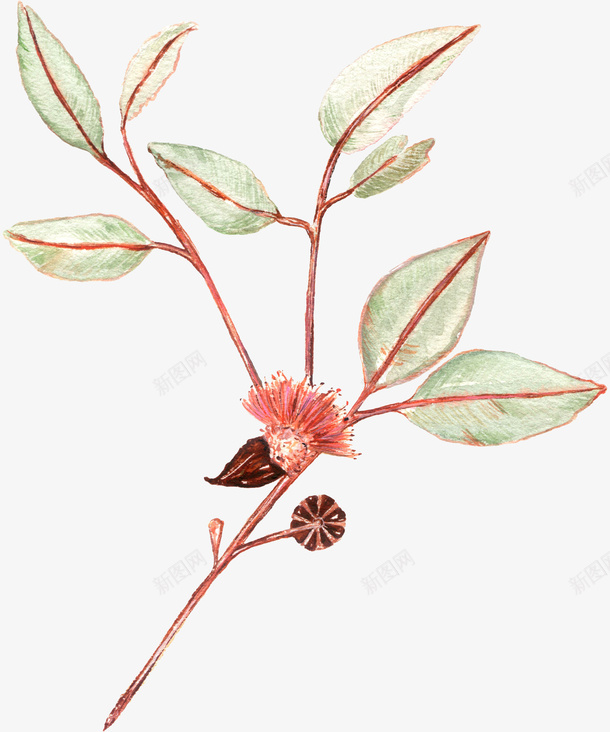卡通手绘植物花卉png免抠素材_新图网 https://ixintu.com 创意 动漫动画 卡通手绘 植物花卉 简约 绿叶
