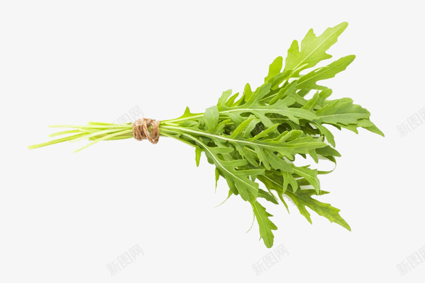 有机芝麻菜png免抠素材_新图网 https://ixintu.com 实物 新鲜 新鲜芝麻菜 有机芝麻菜 芝麻叶 芝麻叶子