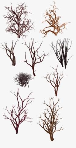 树木植物景观装饰图案素材