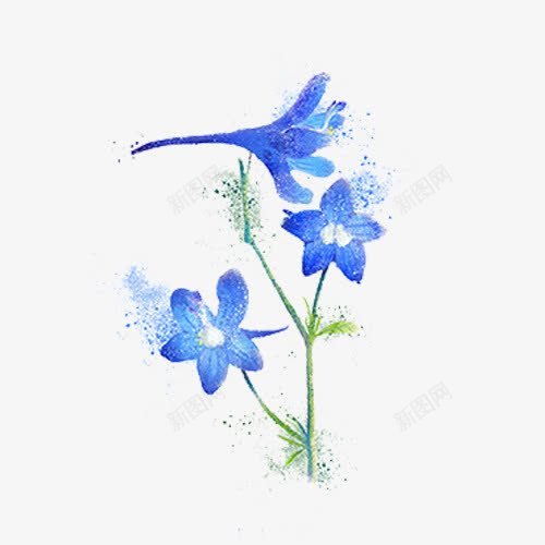 手绘蓝色水彩花朵png免抠素材_新图网 https://ixintu.com 喇叭花 或多 花卉 花朵水彩 蓝色水彩