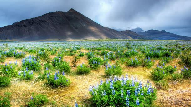 绿色草垛山丘美景jpg设计背景_新图网 https://ixintu.com 山丘 绿色 美景 草垛