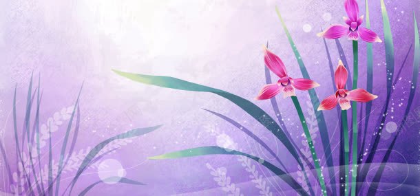 紫色浪漫水仙花背景jpg设计背景_新图网 https://ixintu.com 水仙花 浪漫 紫色
