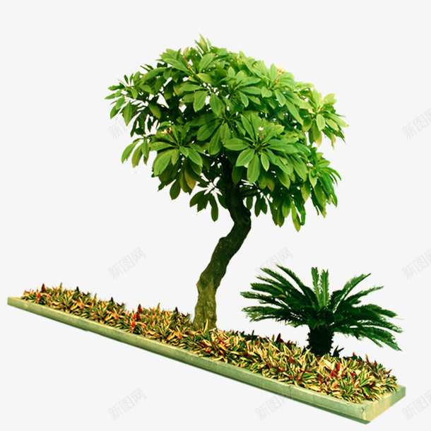 园林景观树木植物png免抠素材_新图网 https://ixintu.com 园林 景观 树木 植物