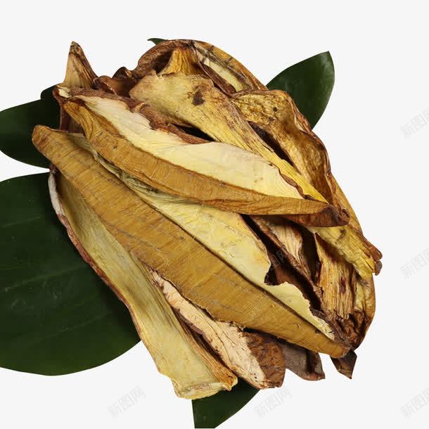 黄牛肝菌png免抠素材_新图网 https://ixintu.com 产品实物 干货 野生黄牛肝 黄牛肝菌