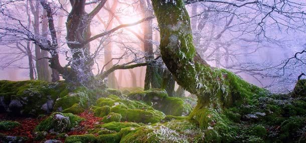 自然风景唯美梦幻jpg设计背景_新图网 https://ixintu.com 梦幻 自然 风景