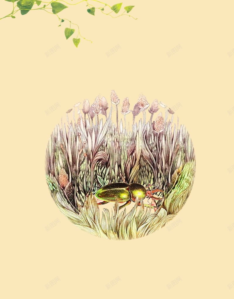 二十四节气之惊蛰海报模板psd设计背景_新图网 https://ixintu.com 二十四节气 惊蛰 手绘 插画 昆虫 春天 海报 简约 绿叶 背景