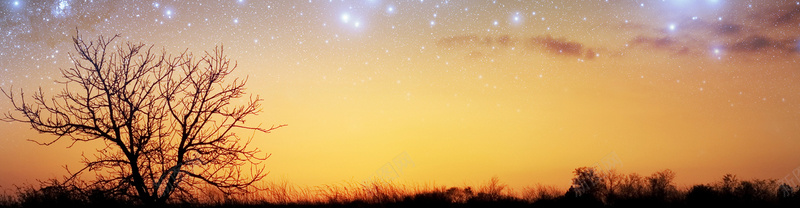 夜晚田野与梦幻星空美景psd设计背景_新图网 https://ixintu.com 其他 夜晚 星云 星海 星空 星际 树 梦幻 海报banner