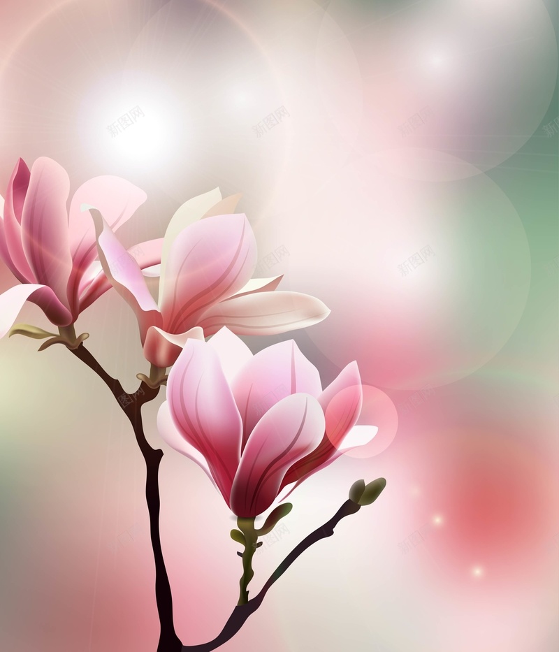 矢量玉兰花清新文艺背景ai设计背景_新图网 https://ixintu.com 文艺 日系 梦幻 浪漫 淡雅 清新 炫彩 玉兰花 矢量 背景 质感 矢量图