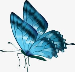 教师节蓝色蝴蝶海报png免抠素材_新图网 https://ixintu.com 教师节 海报 蓝色 蝴蝶