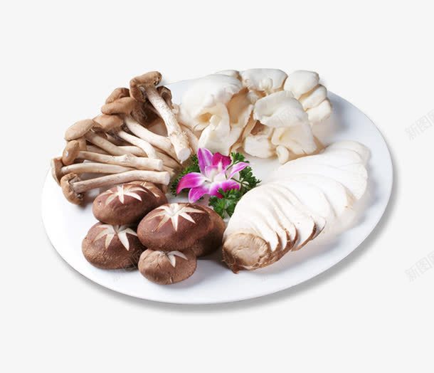 菌类拼盘png免抠素材_新图网 https://ixintu.com 碟子 美食 菌类 营养 蘑菇