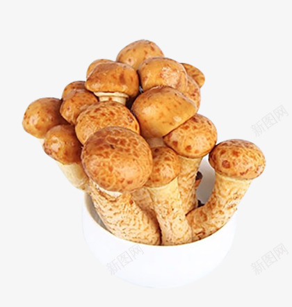 滑子蘑滑子菇png免抠素材_新图网 https://ixintu.com 滑仔菇 滑子菇 滑子蘑 菌 蘑菇 鲜菇