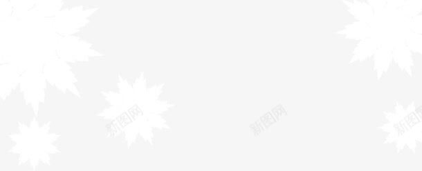 白色小花png免抠素材_新图网 https://ixintu.com 小花 漂亮 白色