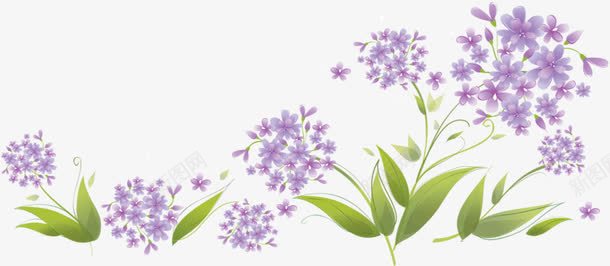 紫色小花png免抠素材_新图网 https://ixintu.com 实用 手绘 素材 绿叶 装饰