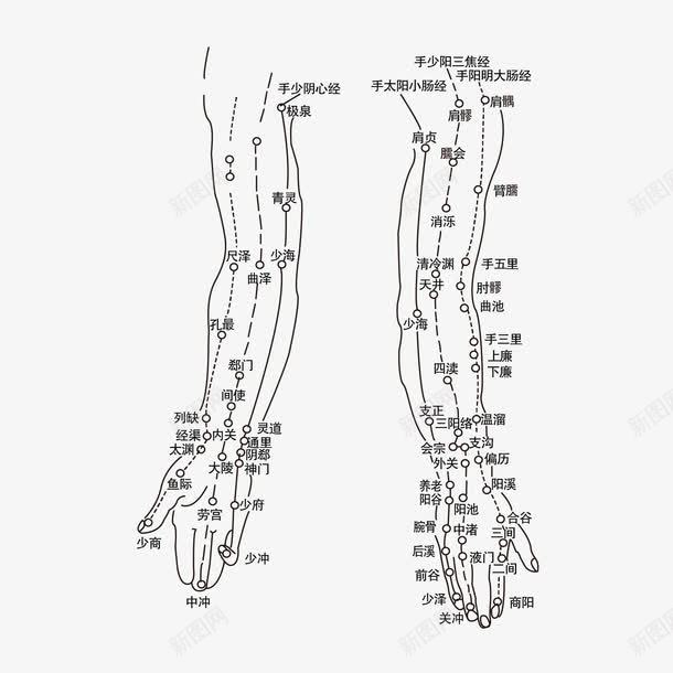穴位图png免抠素材_新图网 https://ixintu.com 养生 理疗 穴位图 针灸 针灸疗法