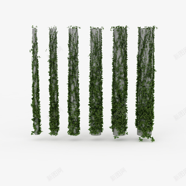 柱子鲜草绿色垂吊植物png免抠素材_新图网 https://ixintu.com 垂吊 垂吊植物 柱子鲜草绿色垂吊植物 植物 绿色植物 鲜草