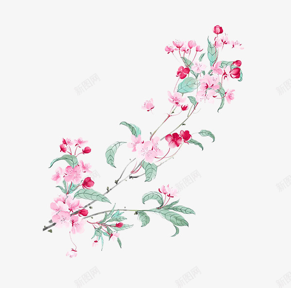 水墨海棠花朵png免抠素材_新图网 https://ixintu.com 水墨 水彩 海棠 花朵
