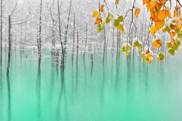 泛黄树叶蓝色河水树木jpg设计背景_新图网 https://ixintu.com 树叶 树木 河水 蓝色
