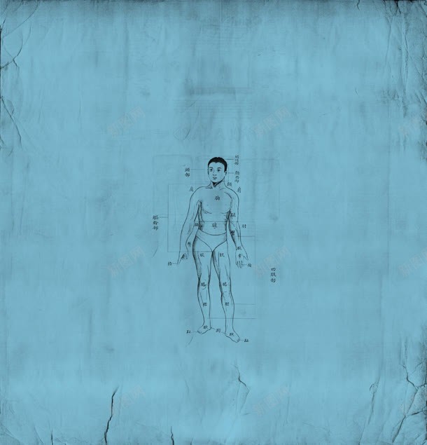 蓝色人体针灸jpg设计背景_新图网 https://ixintu.com 人体 图片 蓝色 针灸