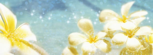 虚化炫彩花卉banner背景jpg设计背景_新图网 https://ixintu.com 唯美 壁纸 星星 色彩 鲜花