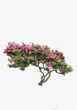 花朵树木景观装饰图案素材