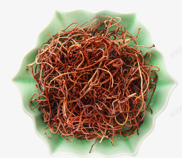 野生蕨菜png免抠素材_新图网 https://ixintu.com 植物 野生 野菜 食物 餐饮
