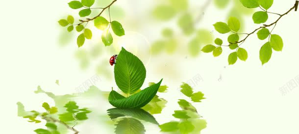 卡通树叶船清新背景bannerjpg设计背景_新图网 https://ixintu.com banner 卡通 树叶 清新 背景 船
