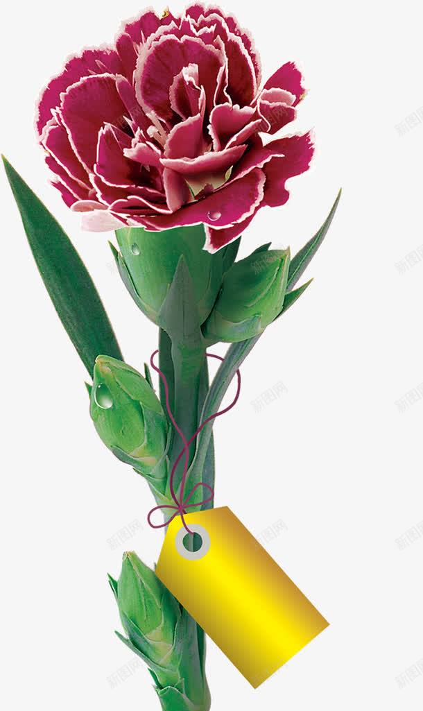 教师节紫色花朵绿叶png免抠素材_新图网 https://ixintu.com 教师节 紫色 绿叶 花朵