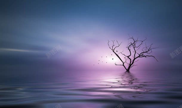 海上的枯树海报背景jpg设计背景_新图网 https://ixintu.com 枯树 海上 海报 背景
