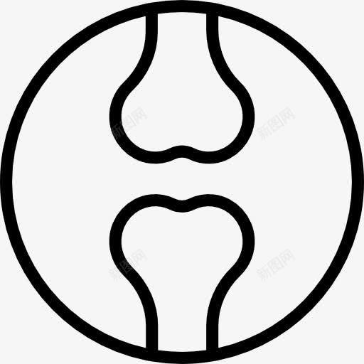 股骨图标png_新图网 https://ixintu.com 关节 医疗 股骨的解剖 腿 身体部位 骨头