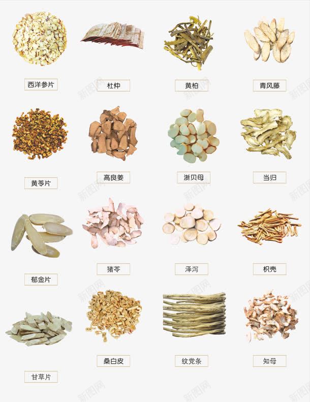西洋参片药材当归png免抠素材_新图网 https://ixintu.com 当归 药材 西洋参