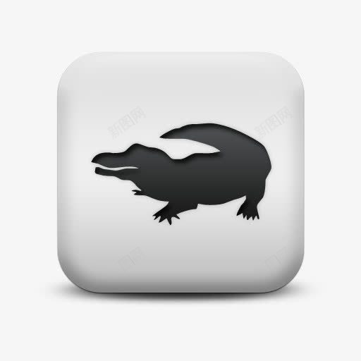 不光滑的白色的广场图标动物动物png_新图网 https://ixintu.com animal animals crocodile icon matte sc square white 不光滑的 动物 图标 广场 白色的 鳄鱼